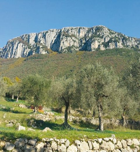 Vallo della Lucania